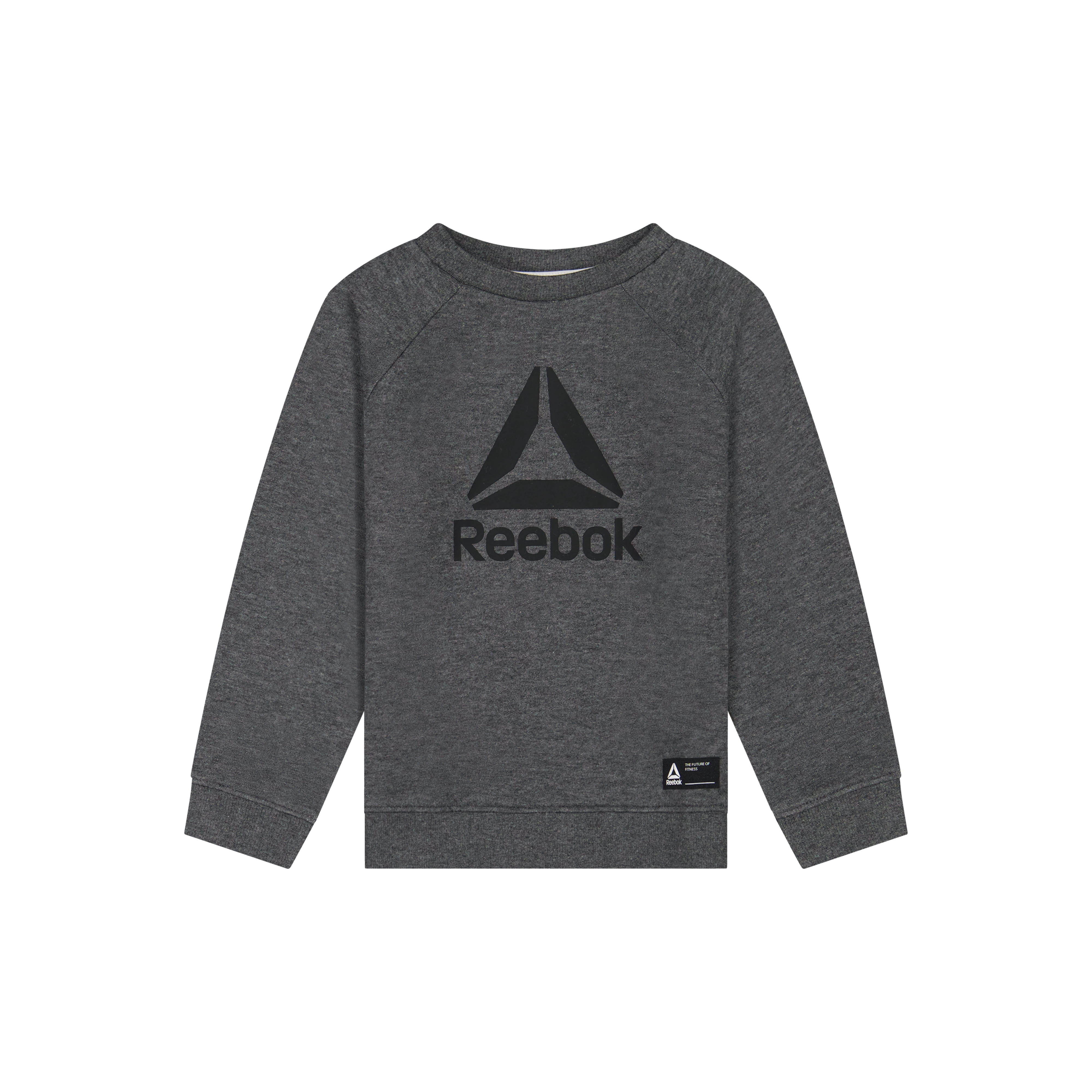 Reebok Toddler Play Hard Crew and Jogger Colorblock Set, 2-Piece, Sizes 12M-5T