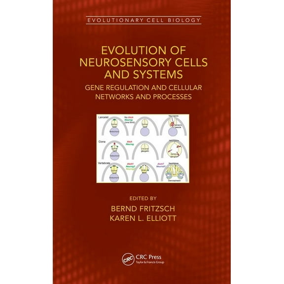 Evolutionary Cell Biology Evolution of Neurosensory Cells and Systems: Gene regulation and cellular networks and processes, (Hardcover)