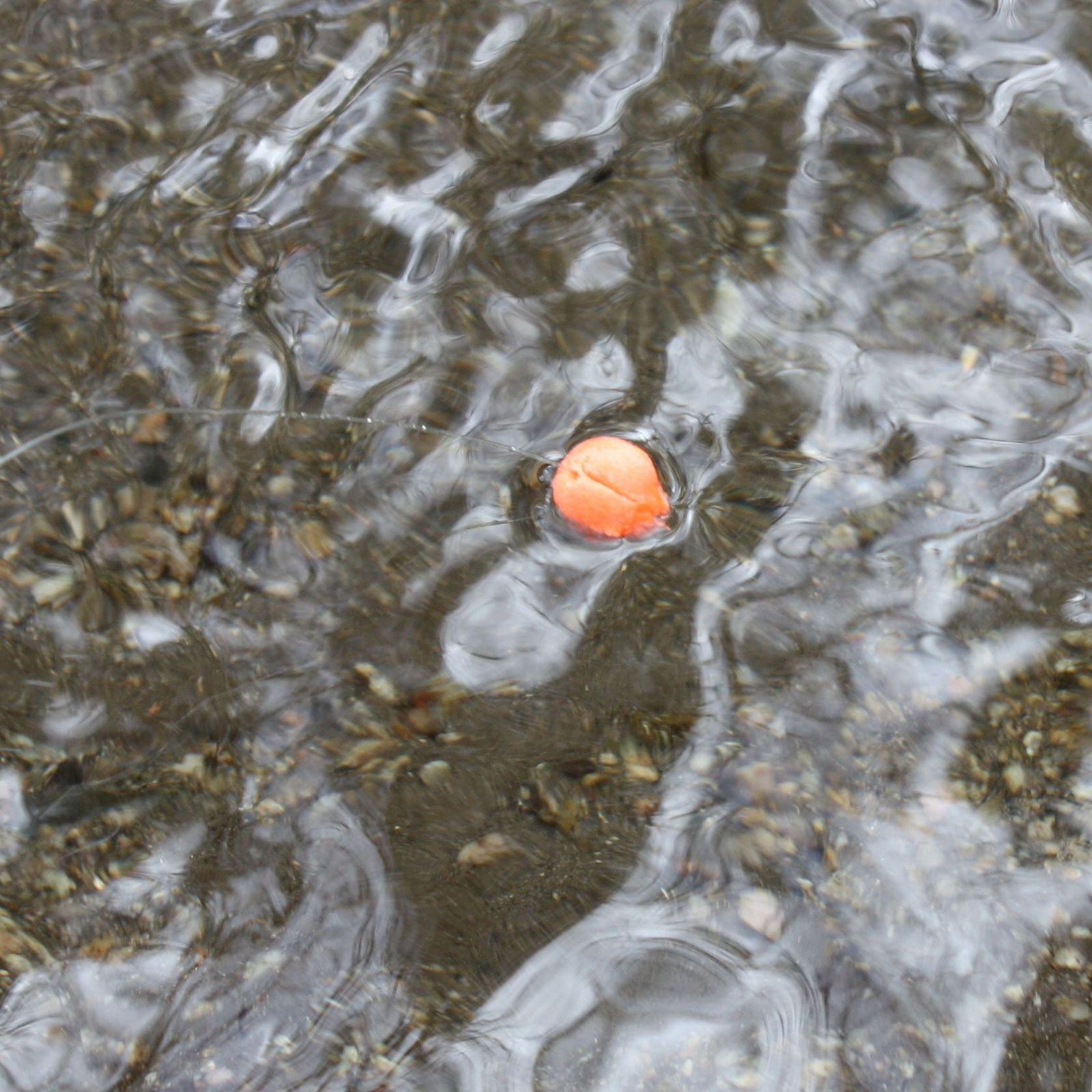 Loon Outdoors Biostrike Putty Strike Indicator Fly Fishing Reusable High Float - image 3 of 3