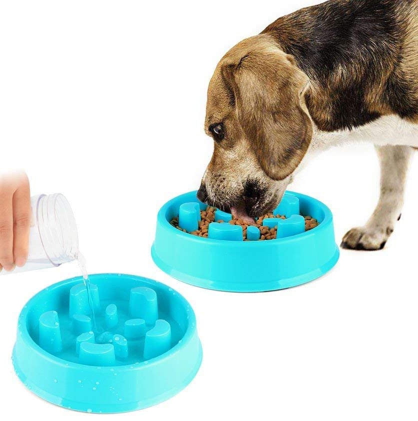 walmart slow feeder dog bowl