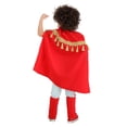 thumbnail image 2 of Boy's Lovable Luchador Toddler Costume, 2 of 7