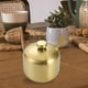 thumbnail image 3 of Recipiente de almacenamiento de especias perfecl Acero inoxidable tarro de especias, 3 of 7