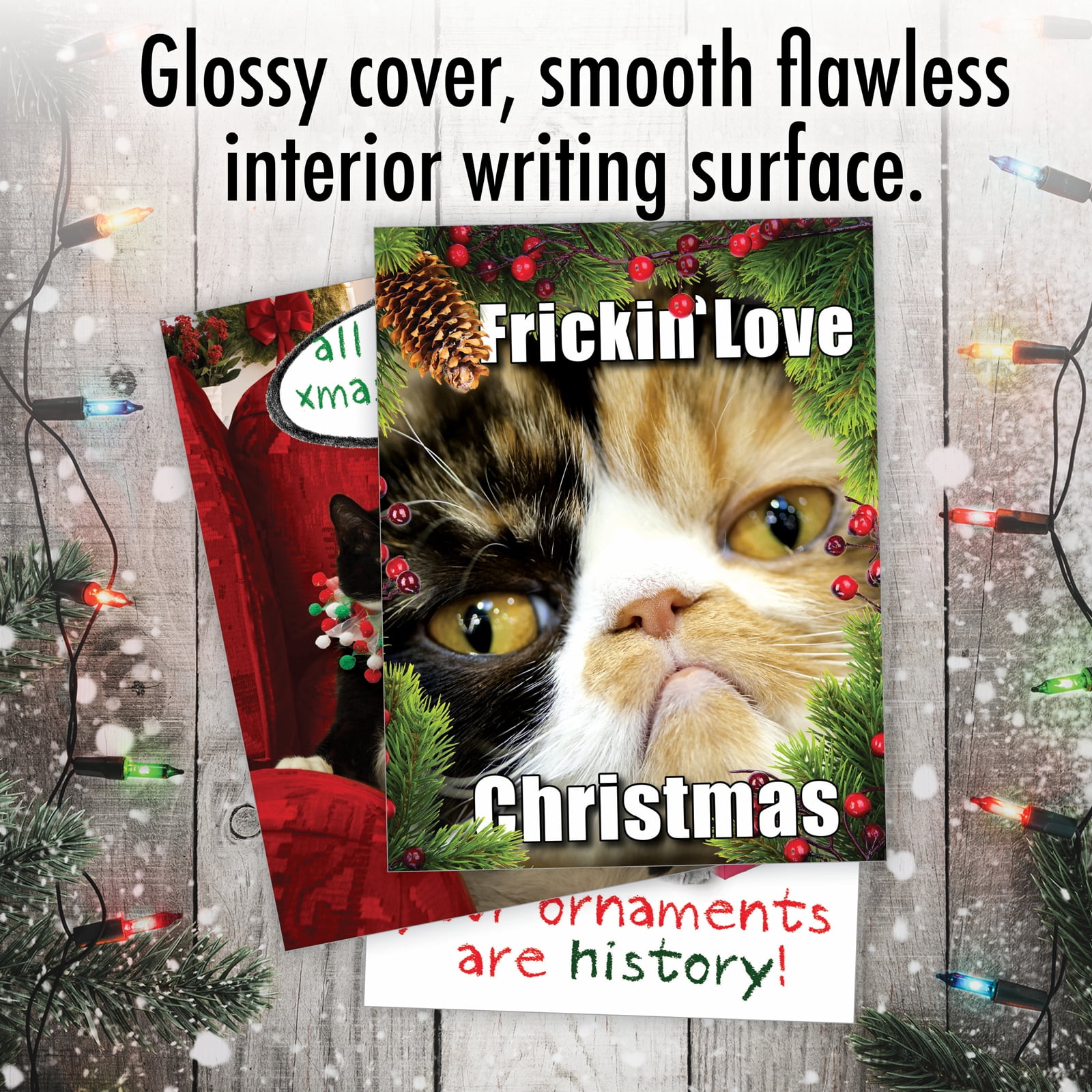 NobleWorks 20 Assorted Box Set Funny Christmas Greeting Cards w/5 x 7 Inch Envelopes (10 Designs, 2 Each) Cat-Mass Cards AC1254XSG-B2x10