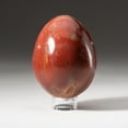 thumbnail image 1 of Polished Petrified Wood Egg from Madagascar (1.2 lbs), 1 of 3