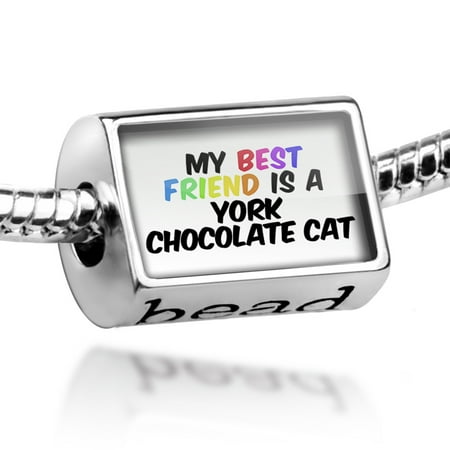 Bead My best Friend a York Chocolate Cat from United States Charm Fits All European (Best Hot Chocolate New York)