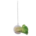 thumbnail image 3 of Hanging Foraging Ball Chicken Foraging Toy Plastic Pet Feeding Ball for Bird Hens, 3 of 5