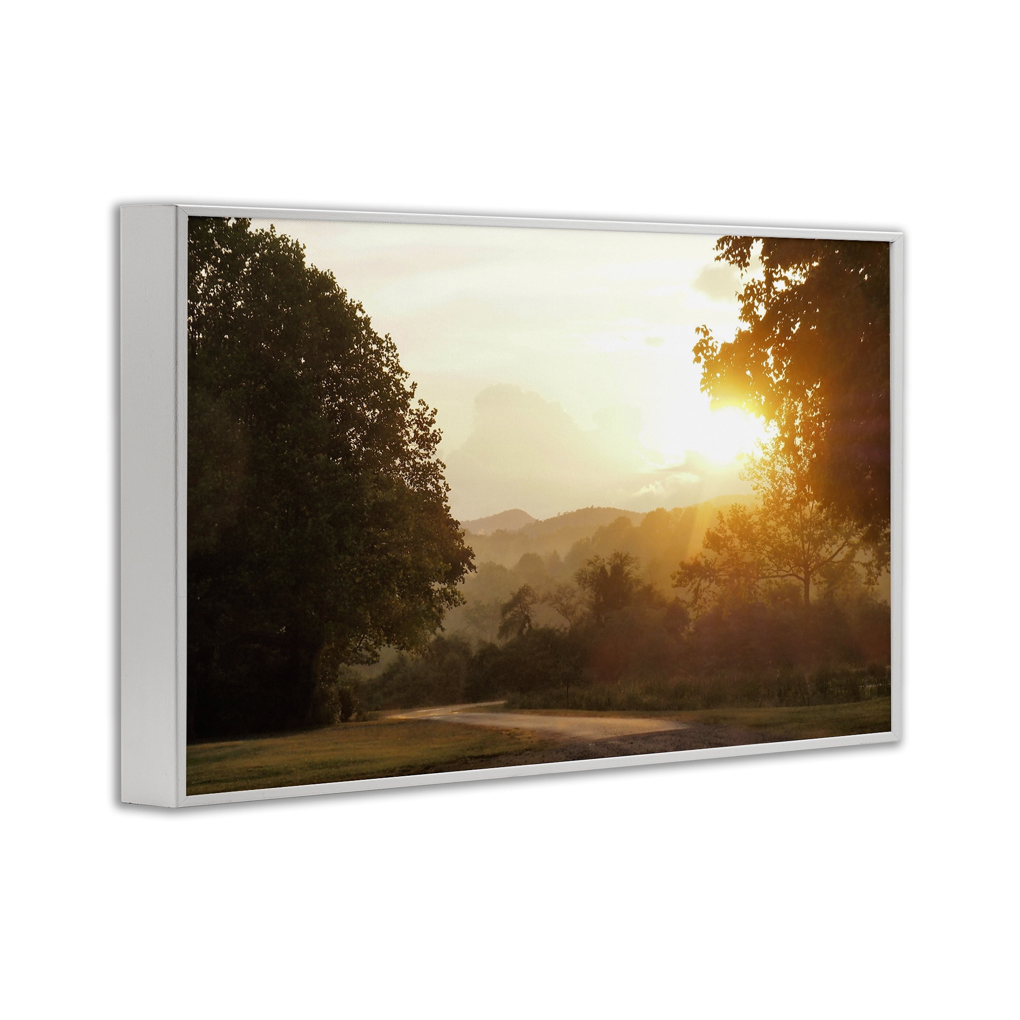 Stupell Industries Golden Morning Between Trees White Framed Giclee Art, design by Gail Peck