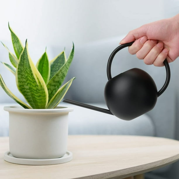Regadera para suculentas, regadera liviana para plantas de interior, diseño de tubo largo para un fácil acceso a las hojas, garantía contra derrames que garantiza un riego limpio, adecuada para la