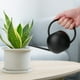 thumbnail image 1 of Regadera para suculentas, regadera liviana para plantas de interior, diseño de tubo largo para un fácil acceso a las hojas, garantía contra derrames que garantiza un riego limpio, adecuada para la, 1 of 4