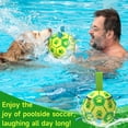 thumbnail image 3 of Pelota de fútbol QDAN de juguete para perros, duradera, para perros medianos y pequeños, 20 cm, 3 of 6