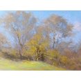 thumbnail image 2 of Chaney, Alan 32x25 Black Ornate Wood Framed with Double Matting Museum Art Print Titled - Sunny Autumn Day, 2 of 4