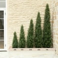 thumbnail image 4 of Nafresh 3ft UV Resistant Artificial Topiary Trees Outdoor with Full & Realistic Leaves, 35in Faux Cedar Tree for Outdoor and Indoor Decor, 2Pack, 4 of 10