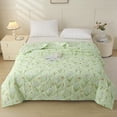 thumbnail image 1 of Apmemiss Back to School Essentials Clearance Summer Washed Conditioned Quilt Summer Cool Quilt Washable Thin Quilt Quilt Core Student Bedroom Dormitory Summer Quilt, 1 of 6