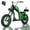 Green, variant on BIGNIU BG-X PRO Electric Bike for Adults,740W Brushless Motor 52V 27Ah Up to 40 Miles E-Bike Front/Rear Turn Signal Dual Suspension Ebikes UL2849