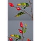 thumbnail image 3 of (1 rama/fruta naranja-roja-rosa especificaciones: aproximadamente 56 cm de largo 1 rama/7 frutas) Flor falsa de plástico de rama de fruta simulada, 3 of 5