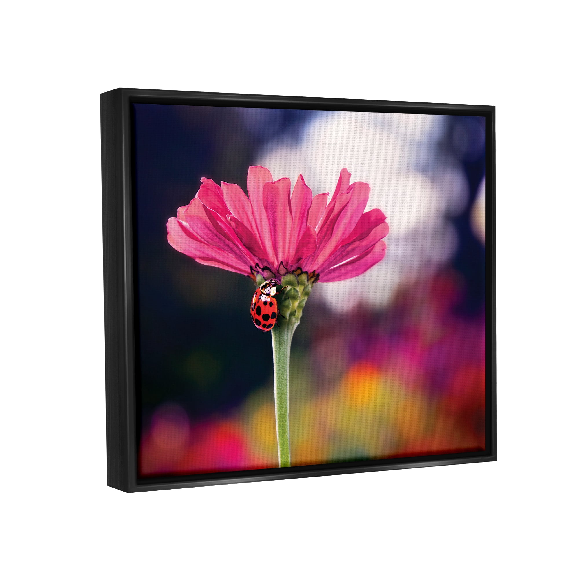 Stupell Industries Ladybug with Pink Flower Animals & Insects Photography Black Floater Framed Art Print Wall Art, 31 x 25