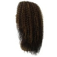 thumbnail image 3 of LUXLUXE Serenity Curly Ringlet 22 in Long Lace Front Wig, Heat Resistant Fibers, Medium Brown Color, 3 of 7