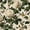 Color 2, variant on Peel and Stick Wallpaper Vintage Floral Large Peonies Green Leaves Olive 24in x 118in Contact Paper Removable Self Adhesive Wall Mural Wall Decor for Bedroom Kitchen Cabinets