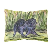 Carolines Treasures SS8444PW1216 Pomeranian Decorative Canvas Fabric Pillow, Large, Multicolor