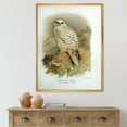 thumbnail image 2 of Designart 'Ancient Bird Life VII' Traditional Framed Canvas Wall Art Print, 2 of 5