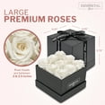 thumbnail image 5 of Immortal Fleur 9 White Preserved Rose Box in an Elegant Square Box | Real Preserved Flowers, 5 of 5