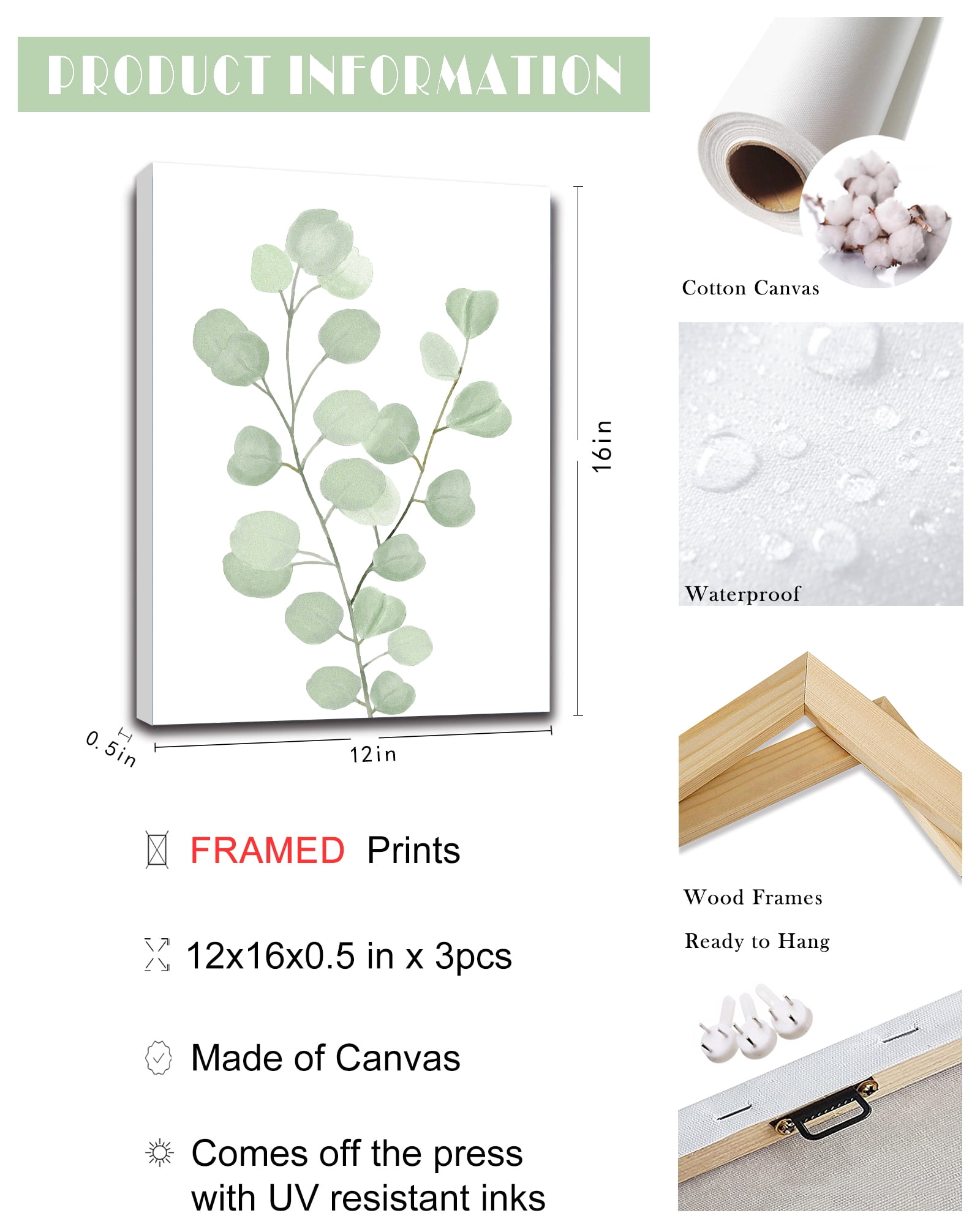 Botanical Plant Canvas Wall Art Boho Plant Wall Decor for Bedroom Floral Prints for Living Room Eucalyptus Leaf Picture