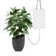 thumbnail image 5 of Kits de Riego Automático NikouMX para Plantas Flores en Macetas 1L, 5 of 8