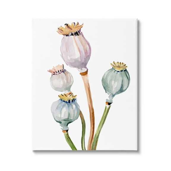 Stupell Industries Pastel Poppy Pods Watercolor Botanical & Floral Painting Gallery Wrapped Canvas Print Wall Art