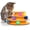 Tower Of Tracks, variant on PETGLE Infinity Ball Track for Cats with Two Balls, Including One Light-Up Ball, Figure-8 Shaped Cat Ball Track Compatible Topper Toys, Green