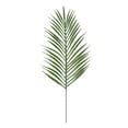 thumbnail image 1 of Hojas de palmeras artificiales Hojas de plantas para proveedores de fiestas Luau Selva Areca Palma Verde Oscuro, 1 of 5