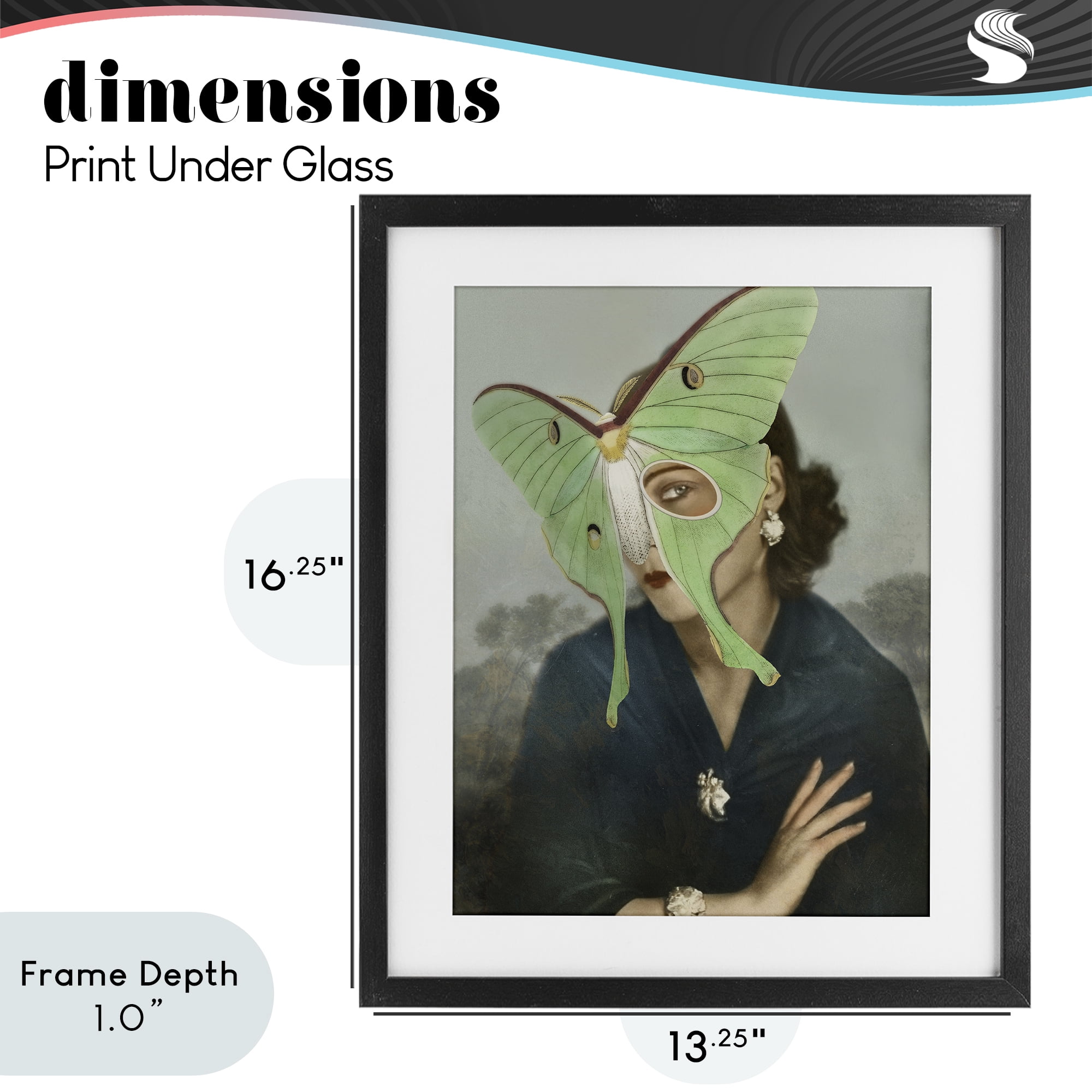 Stupell Industries Naturalist Portrait with Moth Black Framed Print Under Glass, design by Victoria Barnes
