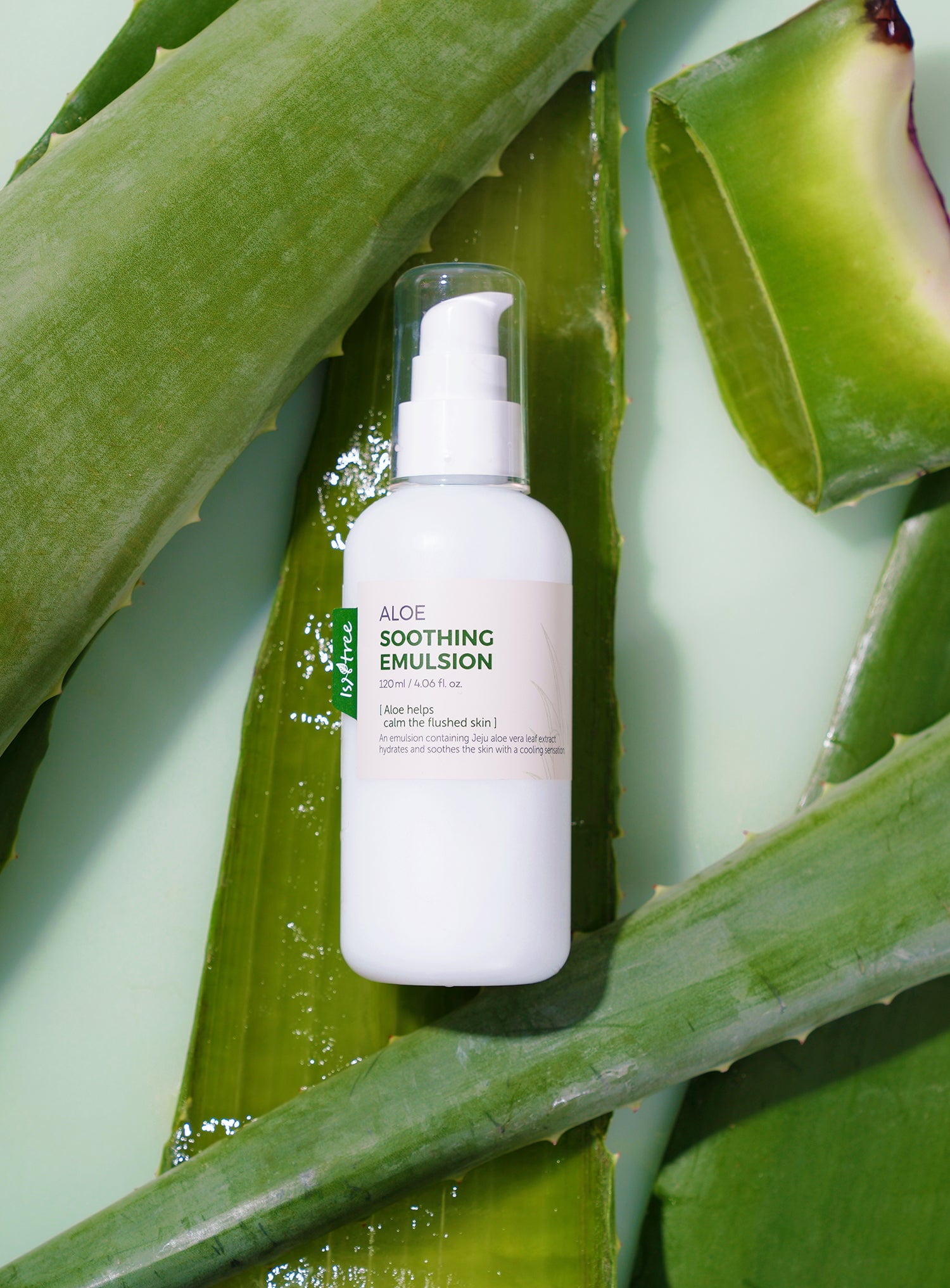 Isntree Aloe Soothing Emulsion, 4.06 fl oz / 120ml - Walmart.com
