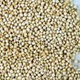 thumbnail image 2 of Certified Organic Quinoa Grain Seeds -2.5 Lbs Grind for Quinoa Flour, Cereal, Emergency Food Storage More, 2 of 3