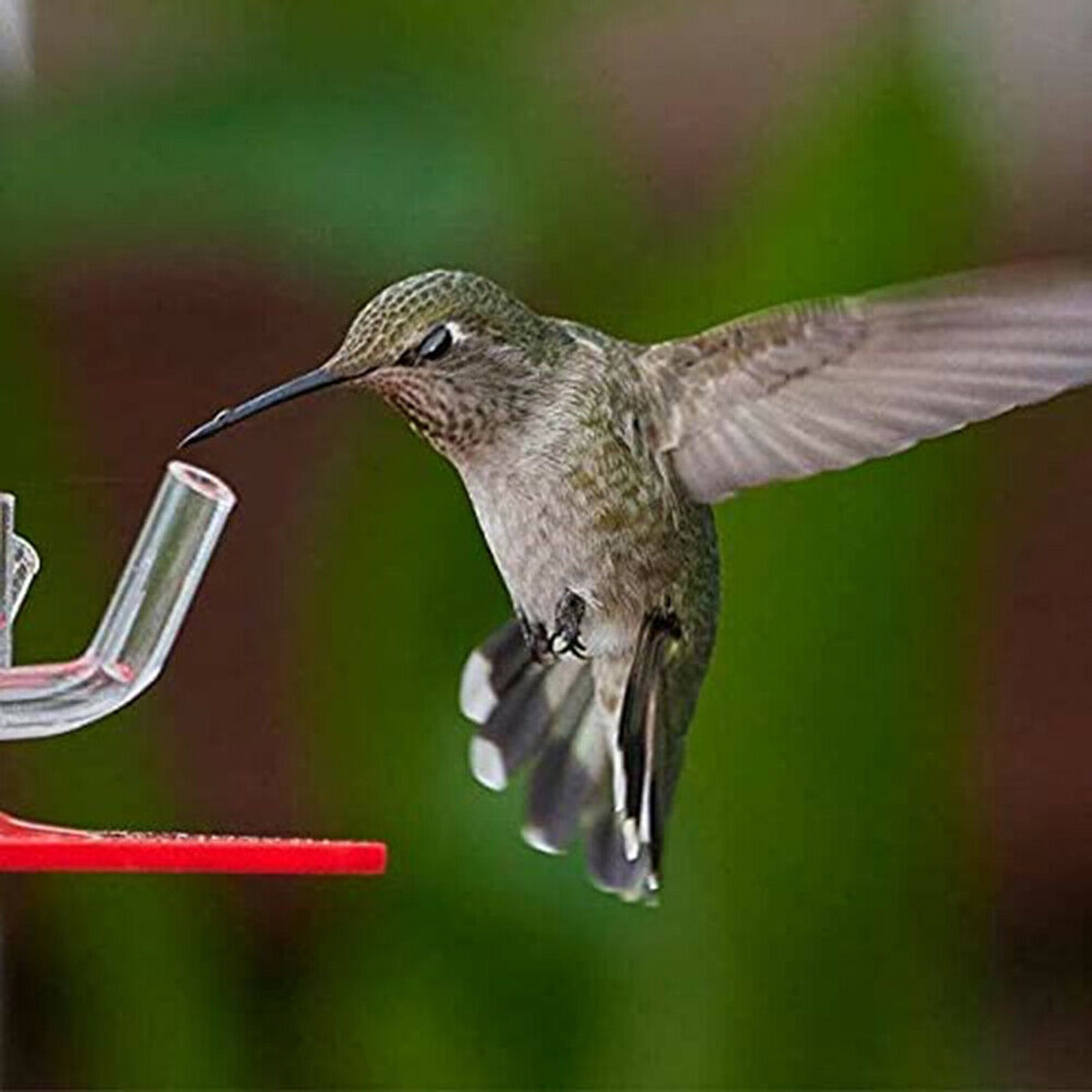 EUDIDV Suet Bird Feeder Cane Flexi Balls Fruit Cage Connectors Netting Plant Support Garden Avian Feast Station