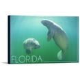 thumbnail image 1 of Florida - Manatees Underwater - Lantern Press Photography (18x12 Gallery Wrapped Stretched Canvas), 1 of 1
