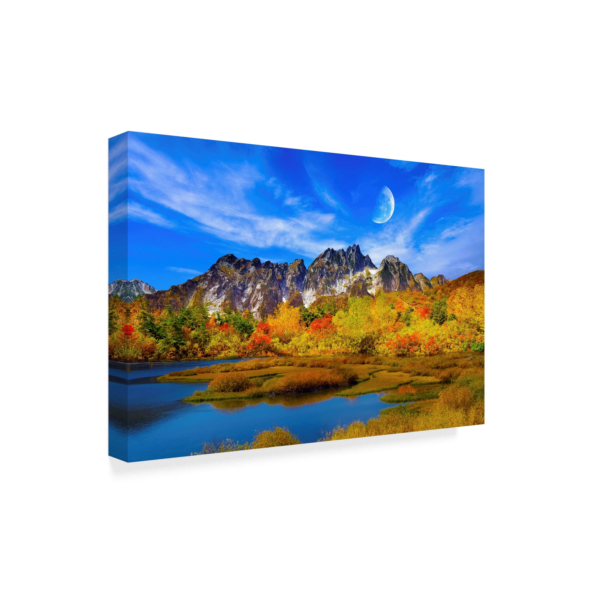 Trademark Fine Art 'Beauty Of Nature' Canvas Art by Ata Alishahi