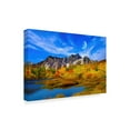 thumbnail image 2 of Trademark Fine Art 'Beauty Of Nature' Canvas Art by Ata Alishahi, 2 of 3