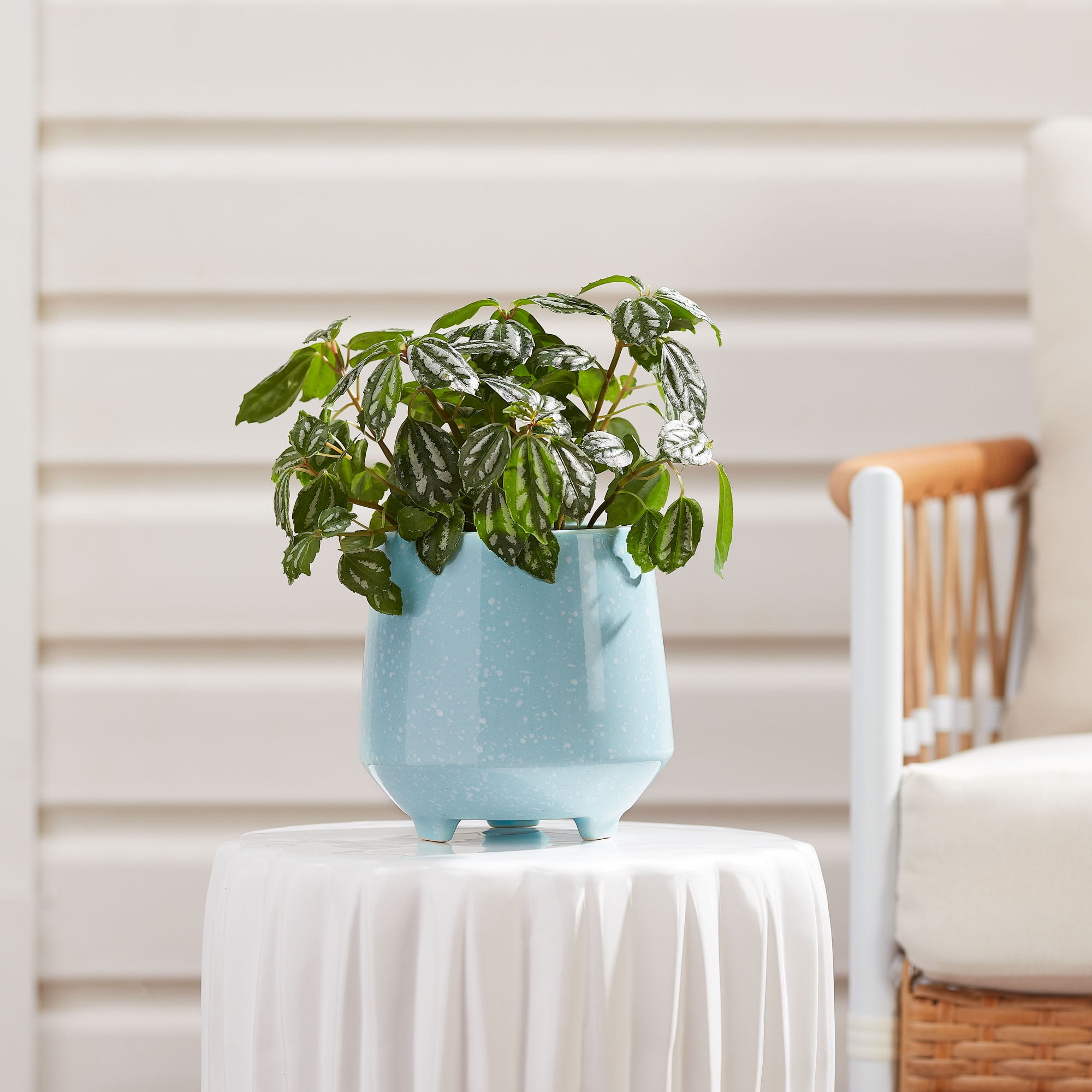  Niyara Designer Ceramic planters pots for Indoor Outdoor Home,  Garden Office Decor Balcony Planters Gamla Flower Size- Large (8 inches)  (Blue Handi) : פאטיו, מדשאה וגינה
