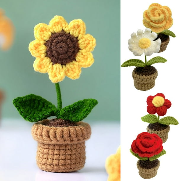 POINTERTECK 6pcs Crochet Potted Plants for Beginners Complete