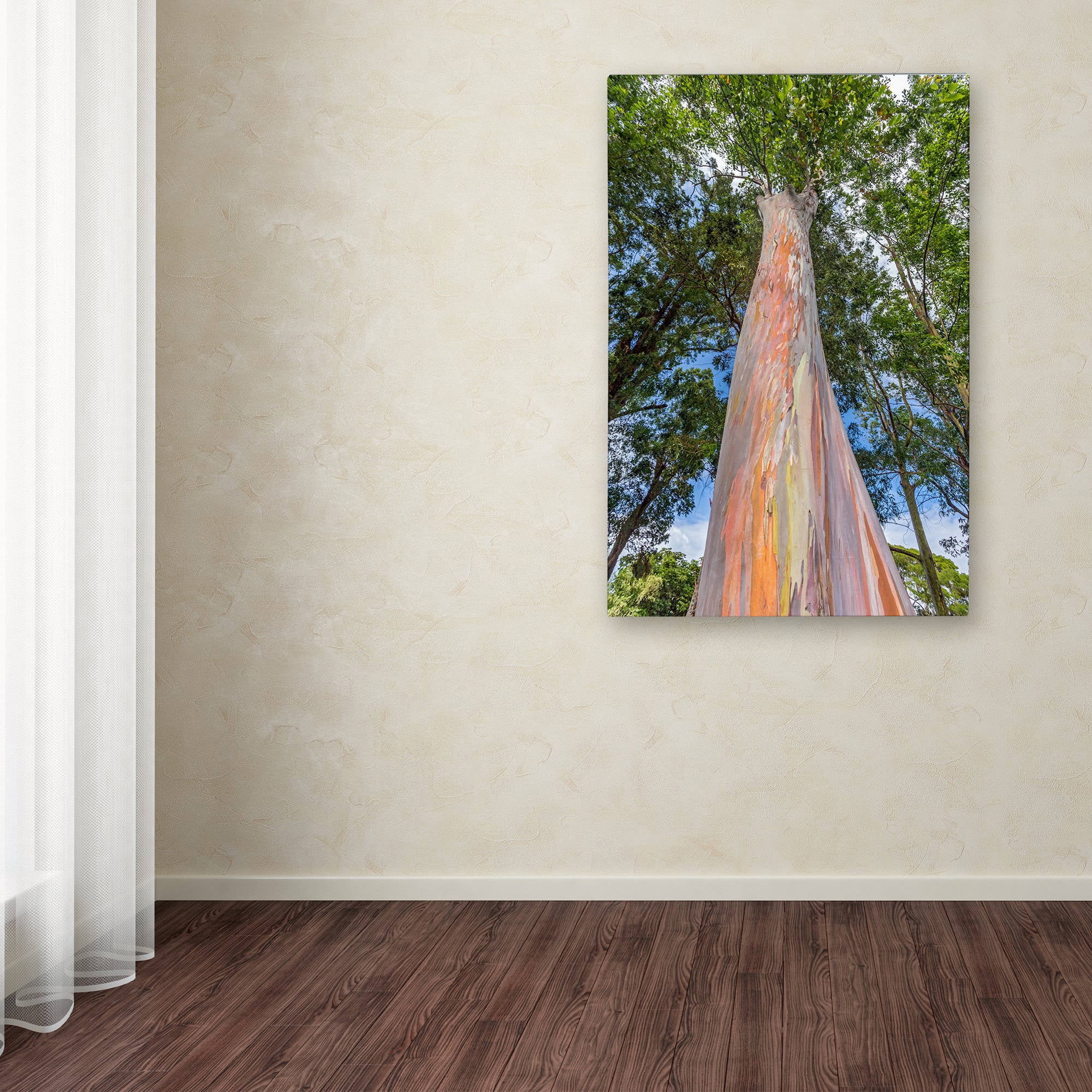 Trademark Fine Art 'Rainbow Tree' Canvas Art by Pierre Leclerc