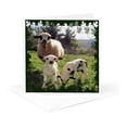 thumbnail image 5 of 3drose, Happy Easter - Easter, Animal, Ewe, Love, Fun, Love, Cute, 6 Greeting Cards with Envelopes, 5 of 7