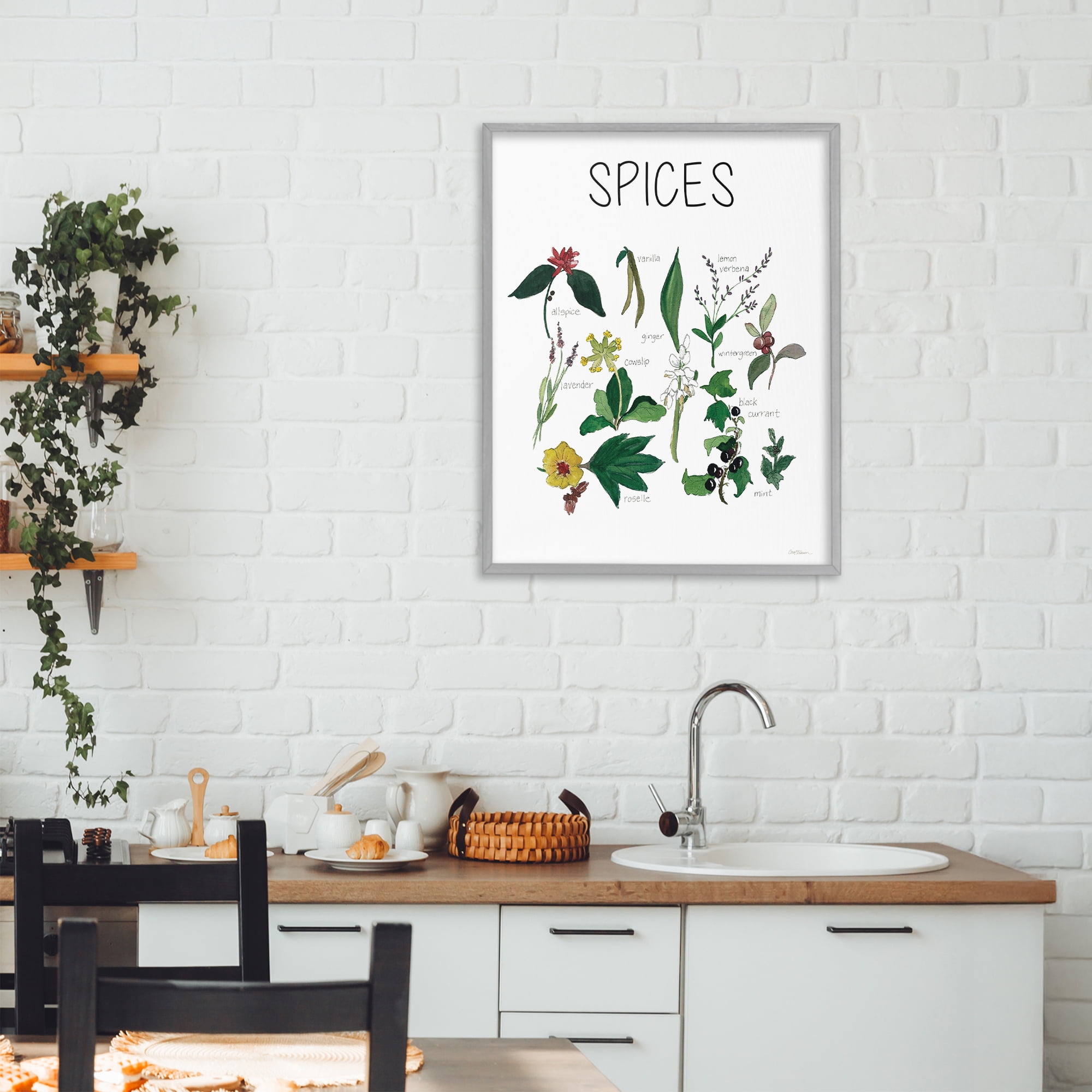 Stupell Industries Spices Identification Chart Gray Framed Giclee Art, design by Carol Robinson