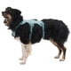 thumbnail image 3 of Arnés para perros RUFFWEAR Web Master Blaze Orange para perros medianos, 3 of 8