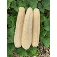 thumbnail image 1 of Paquete de 3 esponjas de lufa de baño naturales, esponjas de ducha de lufa orgánicas grandes, exfoliantes para el cuerpo y la espalda para el cuidado personal diario (23-27 cm) JM, 1 of 5