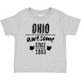 thumbnail image 3 of Inktastic Ohio Awesome Since 1803 Boys or Girls Baby T-Shirt, 3 of 5