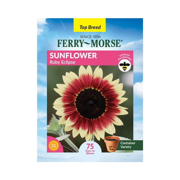 Ferry-Morse 700MG Sunflower Ruby Eclipse Annual Flower Seeds, Full Sun