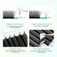 thumbnail image 4 of NAGARAKU 6D W Eyelash W Shape Premade Fans Eyelash Extensions Matte Black 0.07C17, 4 of 8