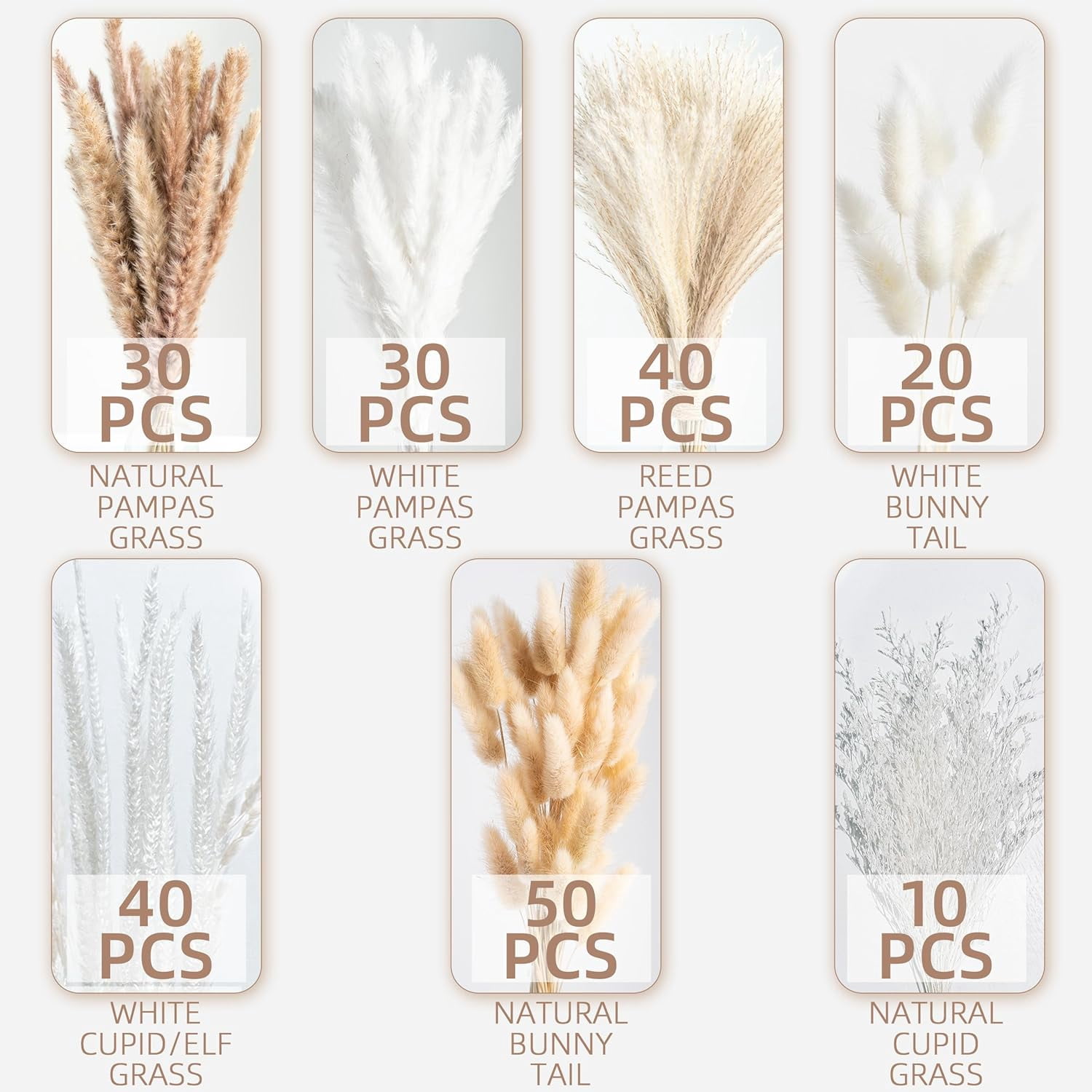220PCS Natural Dried Pampas Grass Bouquet, Phragmites Dried Flowers Boho Home Decor for Wedding Floral Arrangements & Living Room Decorations