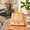 Wooden Grain, variant on 2-in-1 Marble Oil Diffuser and Himalayan Salt Lamp for Home Use