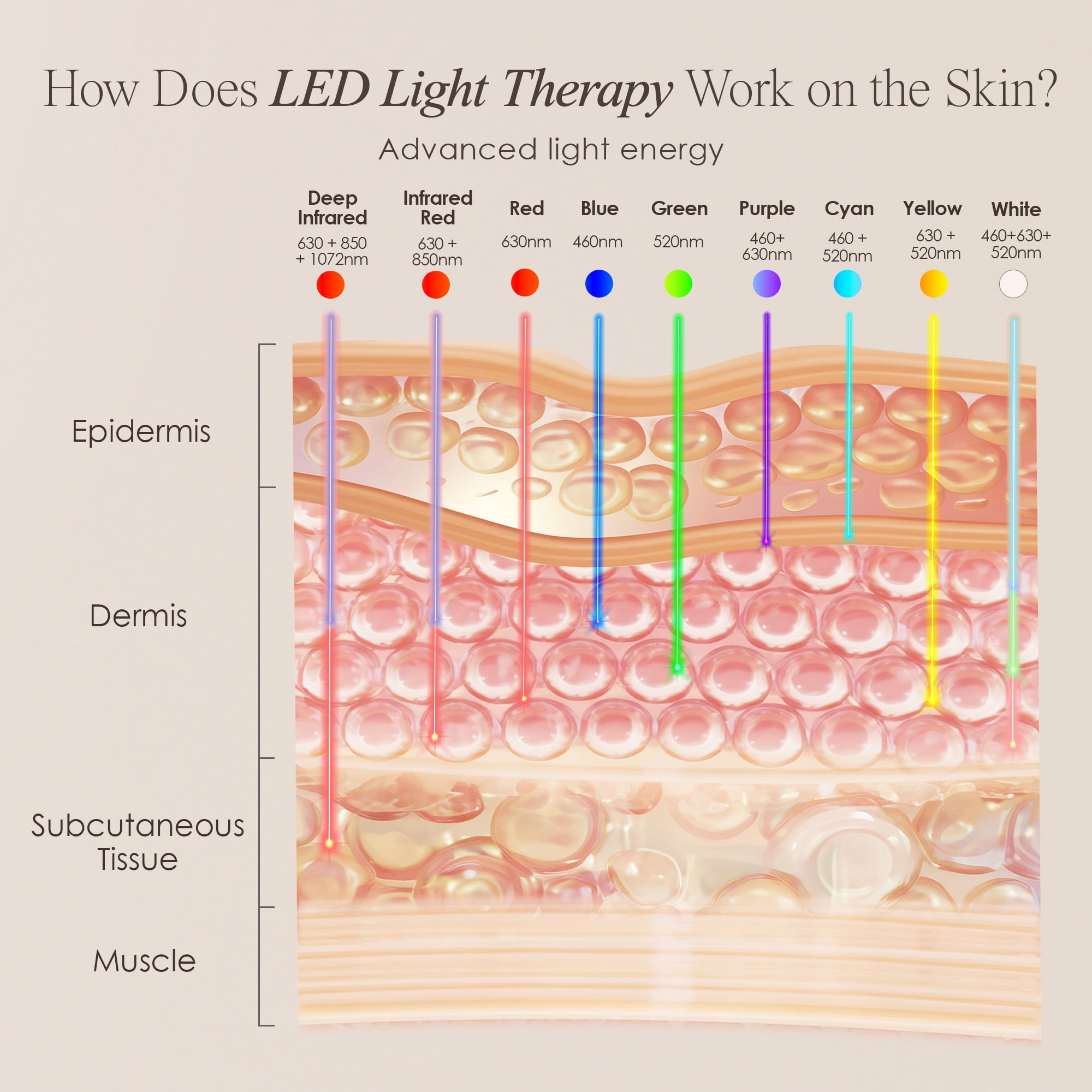 Project E Beauty LED Light Therapy Mask